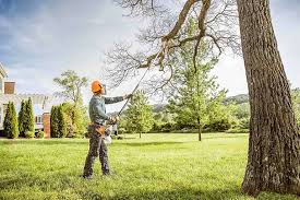 Best Lawn Mowing  in Valencia West, AZ
